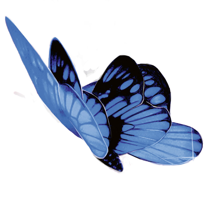 Schmetterling